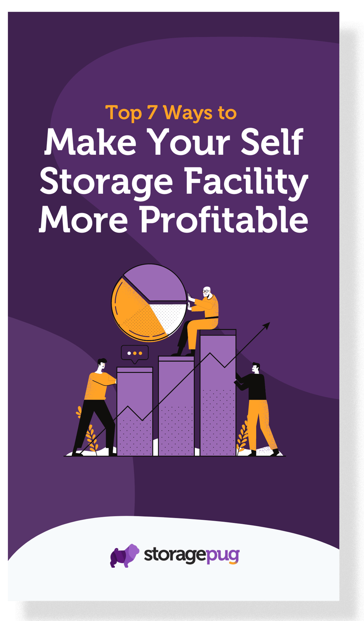 Top 7 Ways to Make Your Self Storage Facility More Profitable StoragePug